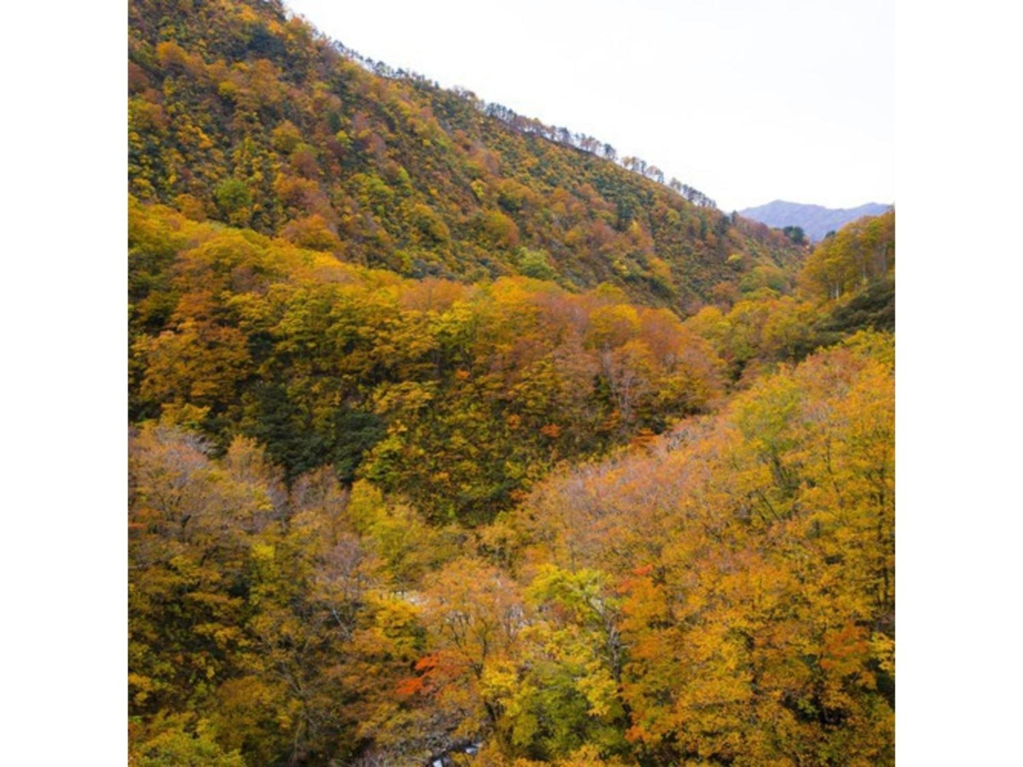Shintainai Onsen Royal Tainai Park Hotel - Vacation Stay 90212V Exterior photo